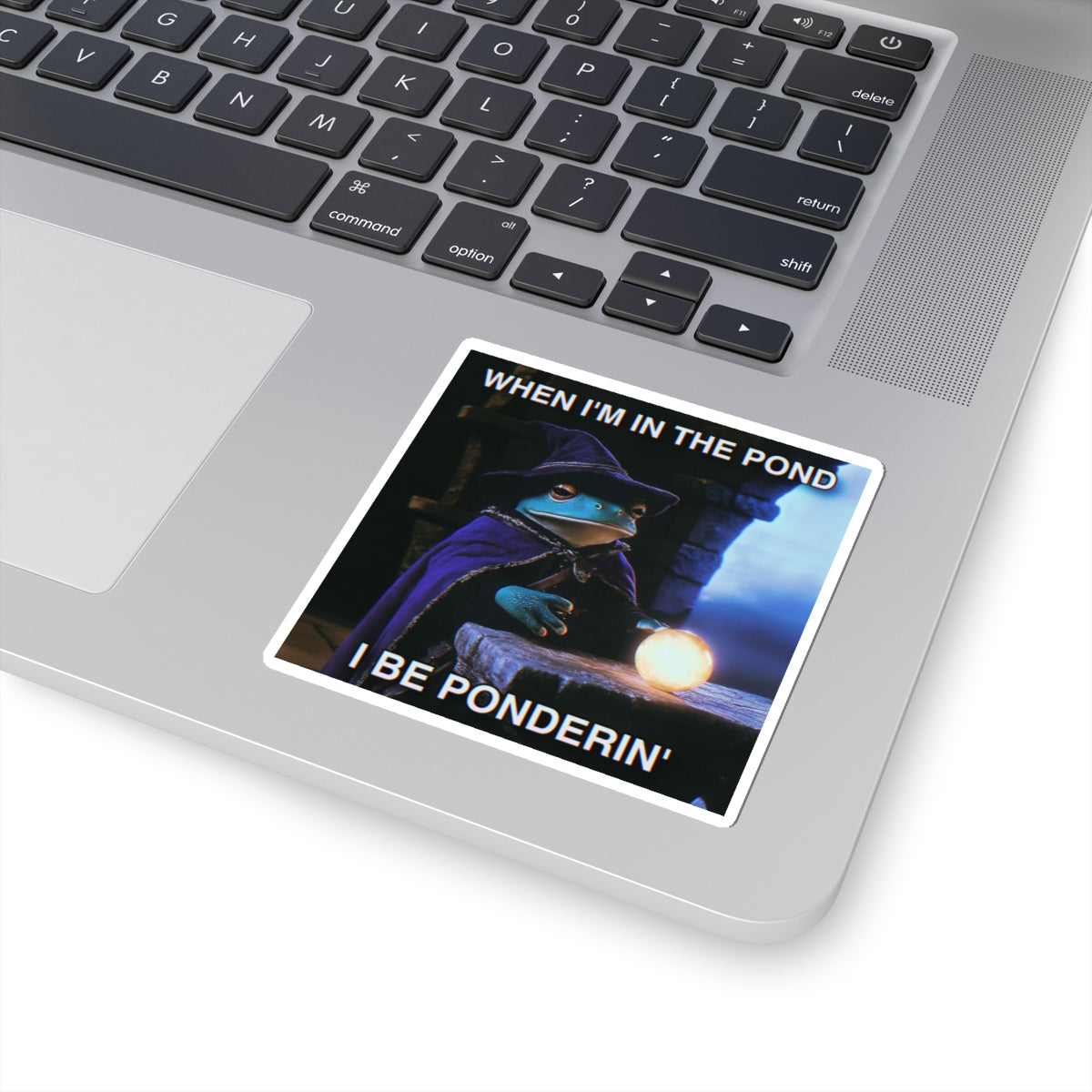 When I'm in the Pond I be Ponderin' | The Frog Mage Sticker
