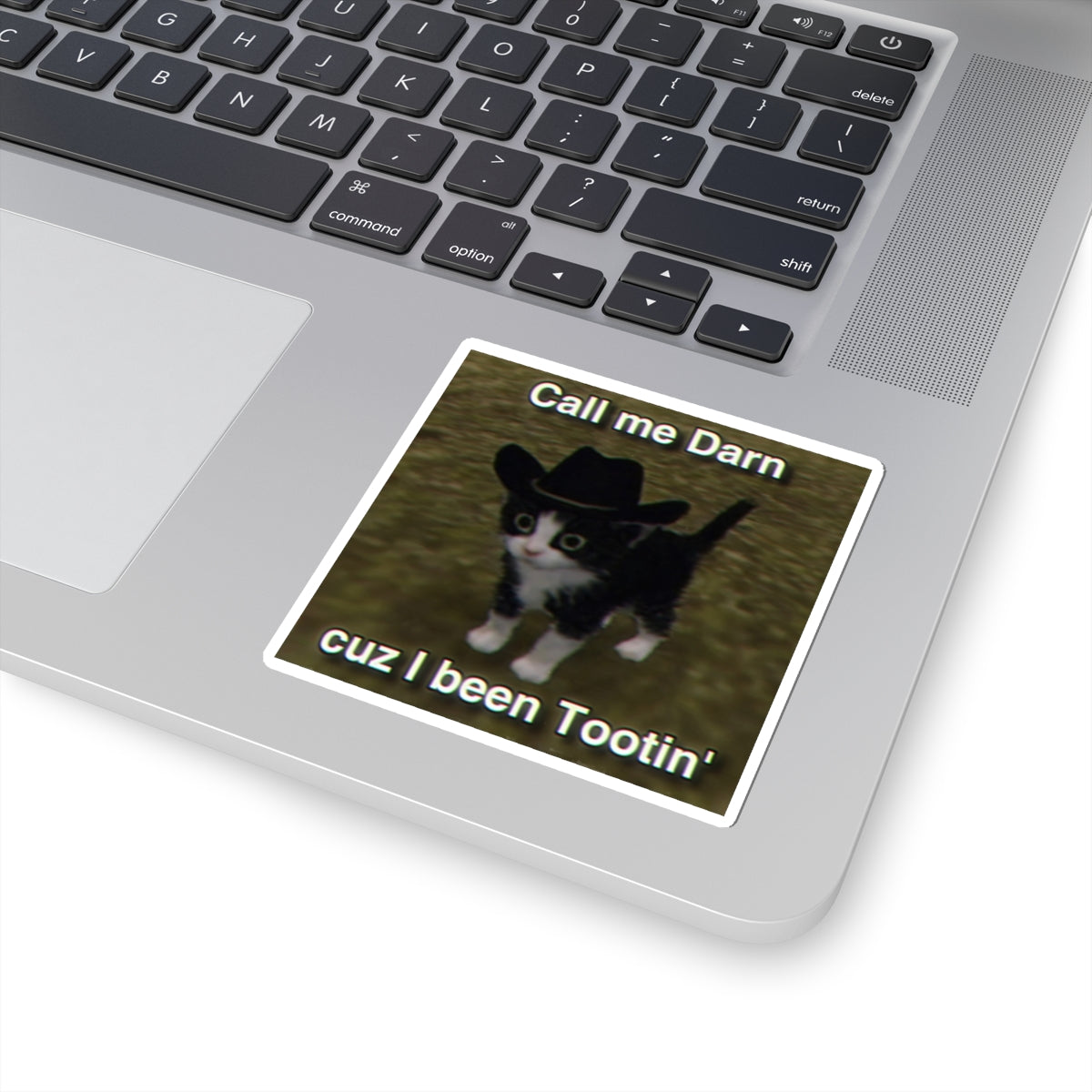 Call Me Darn Cuz I Been Tootin' | Low Poly Cat Sticker