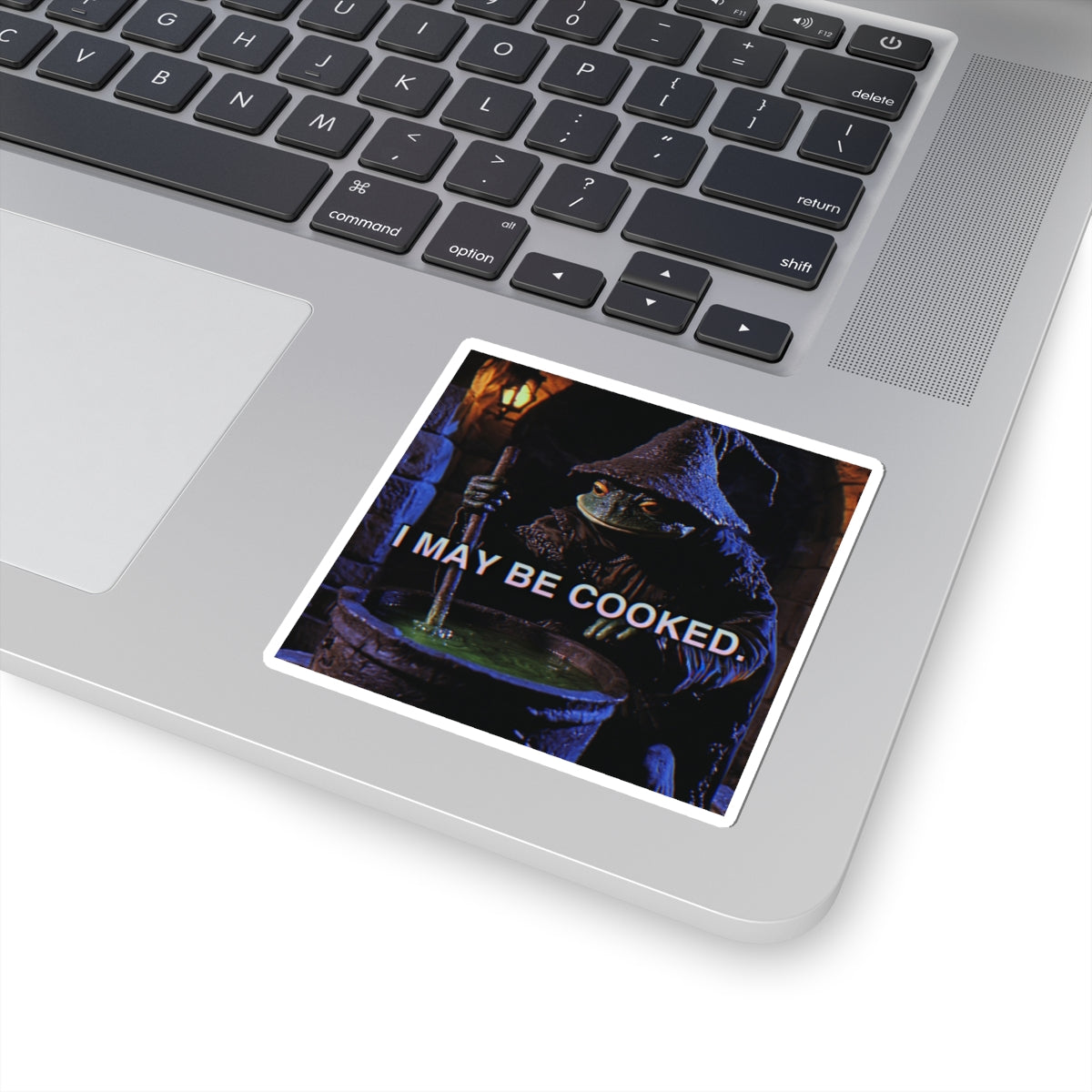 I May Be Cooked | The Frog Mage Sticker