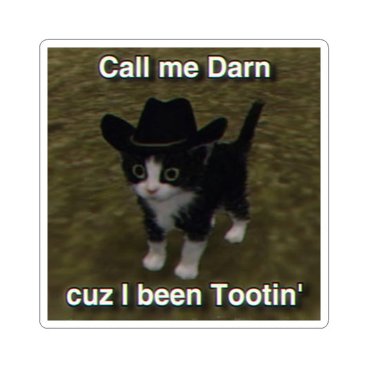 Call Me Darn Cuz I Been Tootin' | Low Poly Cat Sticker