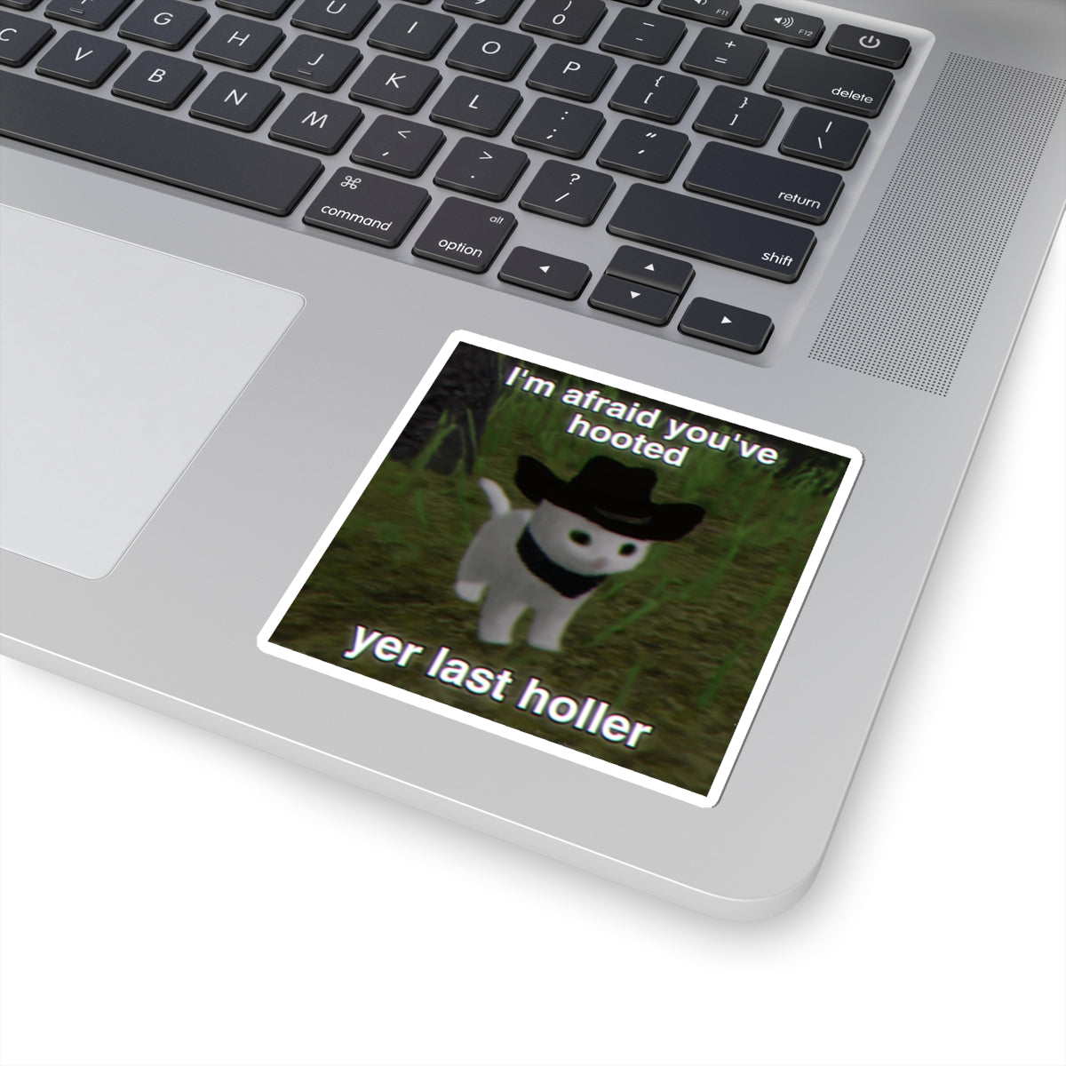 Hooted Yer Last Holler | Low Poly Cat Sticker