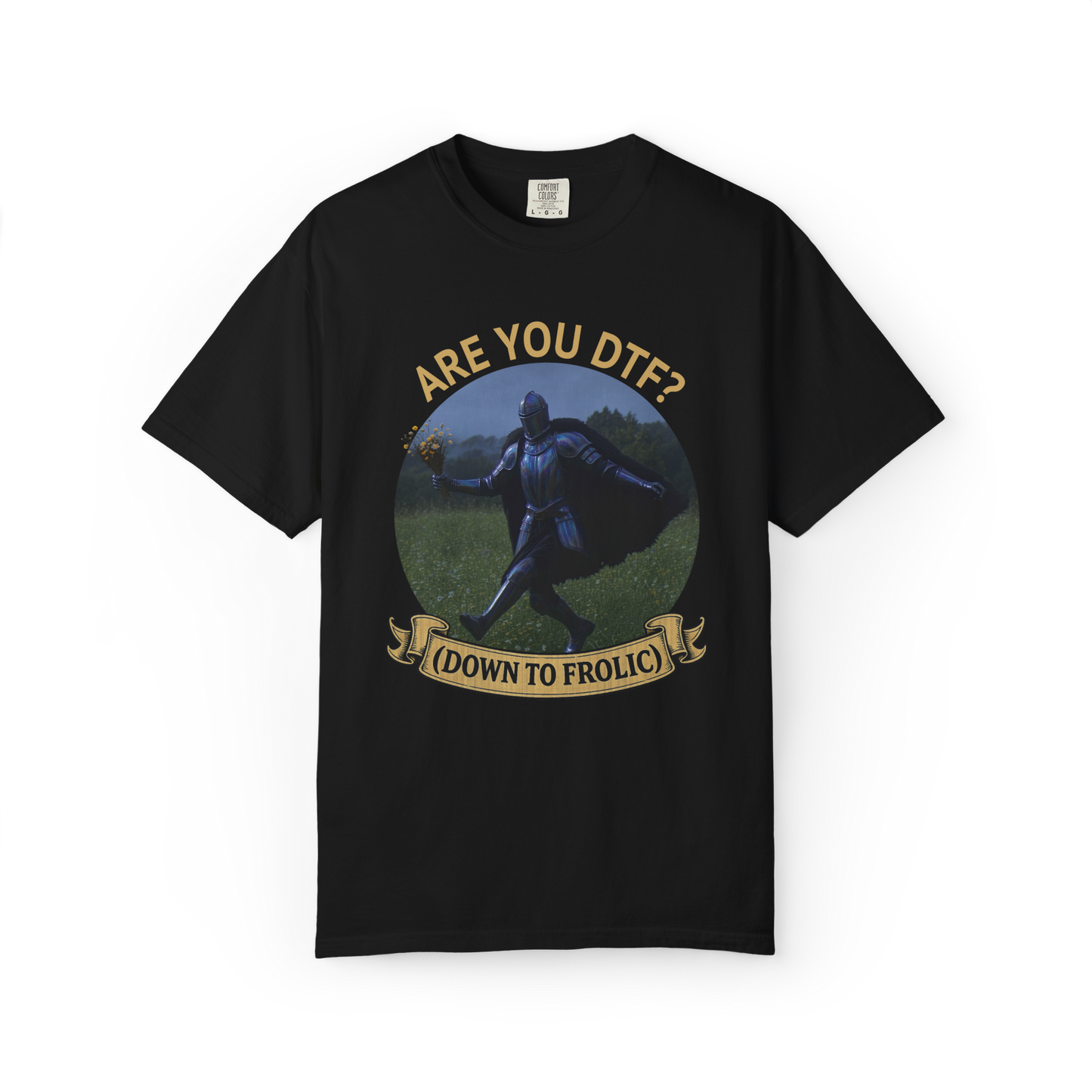 Are you DTF (Down to Frolic) Medieval Knight T-Shirt