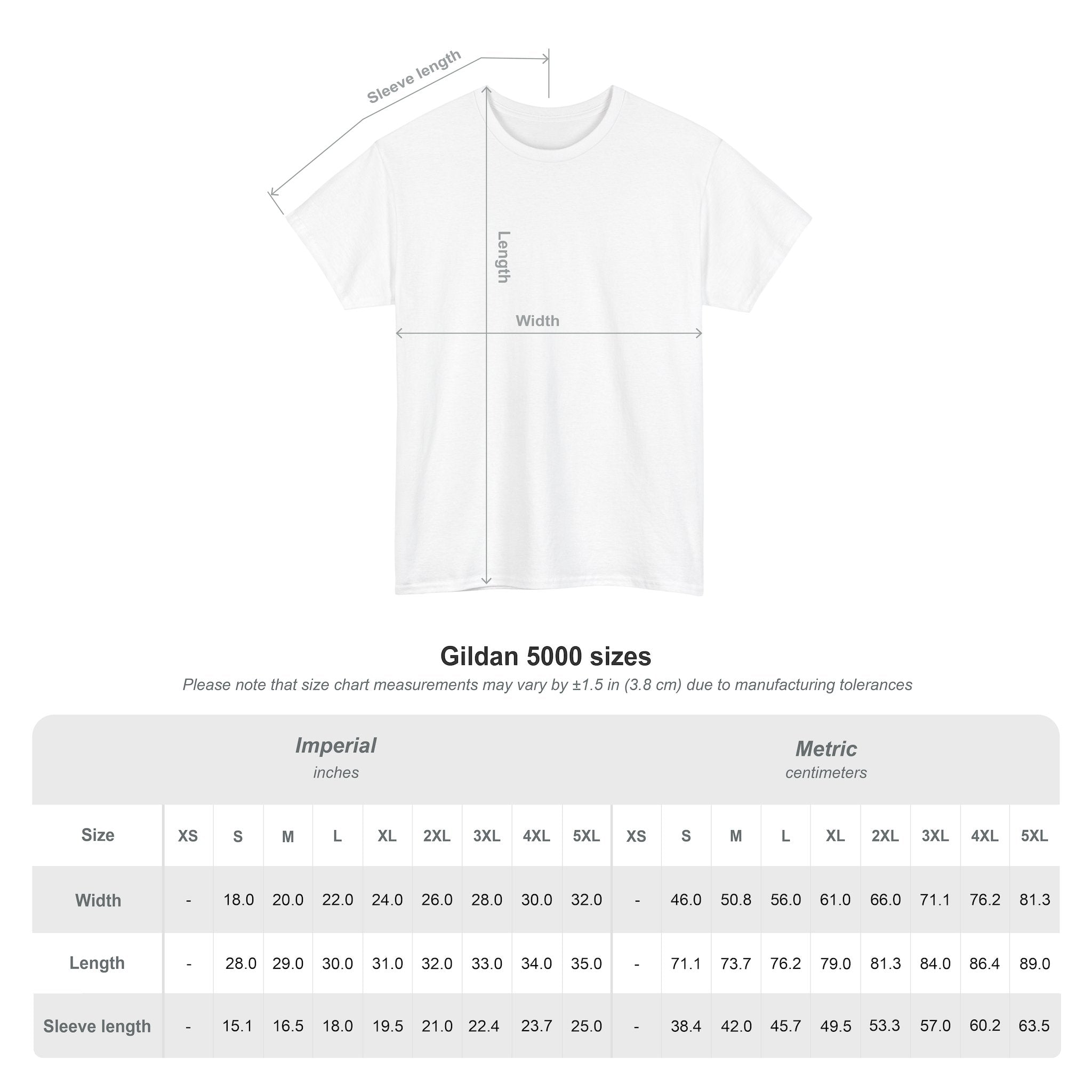 The Frog Mage T-Shirt | I'm About to Cause a Ruckus | Medieval